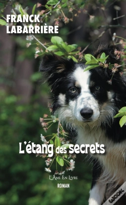 Capa do artigo L'Étang Des Secrets