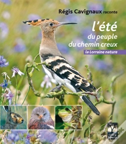 Capa do artigo L'Été Du Peuple Du Chemin Creux