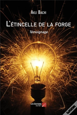Capa do artigo L'Etincelle De La Forge