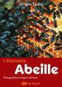 L'Étonnante Abeille - Preview