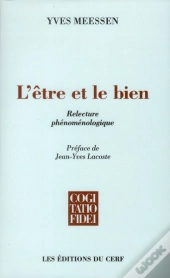 L'Être Et Le Bien, Relecture Phénoménologique