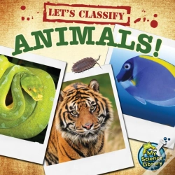 Capa do artigo Let'S Classify Animals!