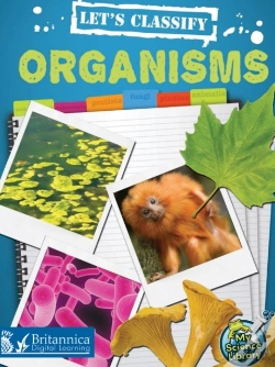 Capa do artigo Let'S Classify Organisms