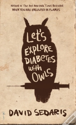 Capa do artigo Let'S Explore Diabetes With Owls