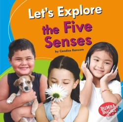 Capa do artigo Let'S Explore The Five Senses