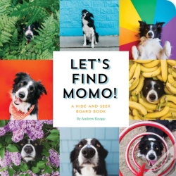 Capa do artigo Let'S Find Momo!