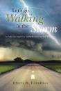 Let'S Go Walking In The Storm - Preview