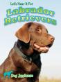 Let'S Hear It For Labrador Retrievers - Preview