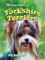 Let'S Hear It For Yorkshire Terriers - Preview