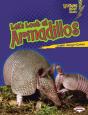 Let'S Look At Armadillos - Preview