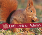 Let'S Look At Autumn - Preview
