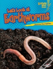 Let'S Look At Earthworms