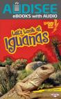 Let'S Look At Iguanas - Preview