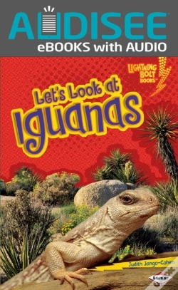 Capa do artigo Let'S Look At Iguanas
