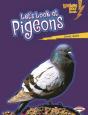 Let'S Look At Pigeons - Preview