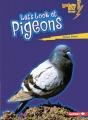 Let'S Look At Pigeons - Preview