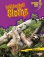 Let'S Look At Sloths - Preview