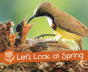 Let'S Look At Spring - Preview