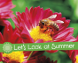 Let'S Look At Summer - Preview