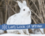 Let'S Look At Winter - Preview