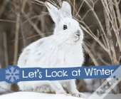 Let'S Look At Winter