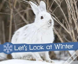 Capa do artigo Let'S Look At Winter
