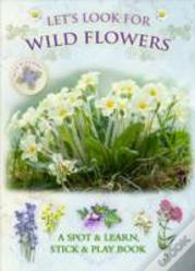 Let'S Look For Wild Flowers