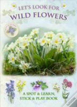 Capa do artigo Let'S Look For Wild Flowers