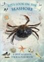 Let'S Look On The Seashore - Preview