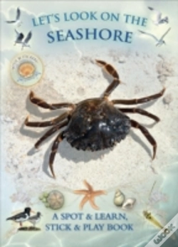 Capa do artigo Let'S Look On The Seashore