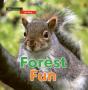 Let'S Read: Forest Fun - Preview