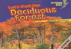 Lets Visit The Deciduous Forest