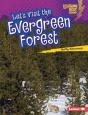 Let'S Visit The Evergreen Forest - Preview