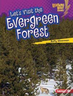 Capa do artigo Let'S Visit The Evergreen Forest