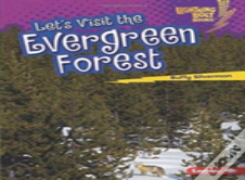 Let'S Visit The Evergreen Forest
