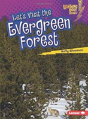 Let'S Visit The Evergreen Forest - Preview
