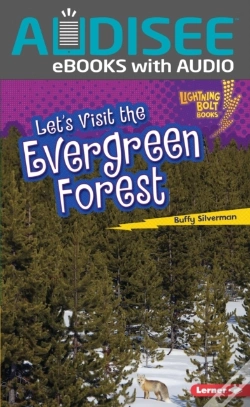 Capa do artigo Let'S Visit The Evergreen Forest