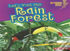 Let'S Visit The Rain Forest