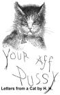 Letters From A Cat - Preview