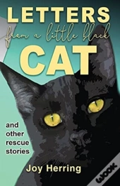 Letters From A Little Black Cat