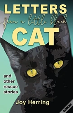 Capa do artigo Letters From A Little Black Cat