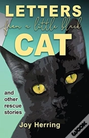 Capa do artigo Letters From A Little Black Cat