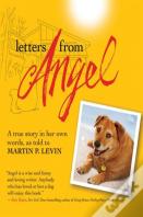 Letters From Angel