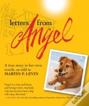 Capa do artigo Letters From Angel