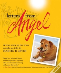Capa do artigo Letters From Angel