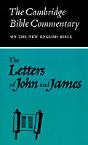 Letters Of John And James - Preview