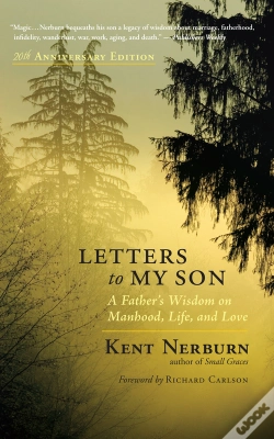 Capa do artigo Letters To My Son