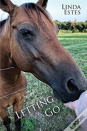 Capa do artigo Letting Go