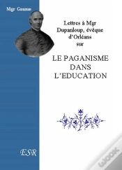 Capa do artigo Lettres À Mgr Dupanloup, Évêque D