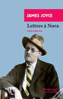 Capa do artigo Lettres A Nora